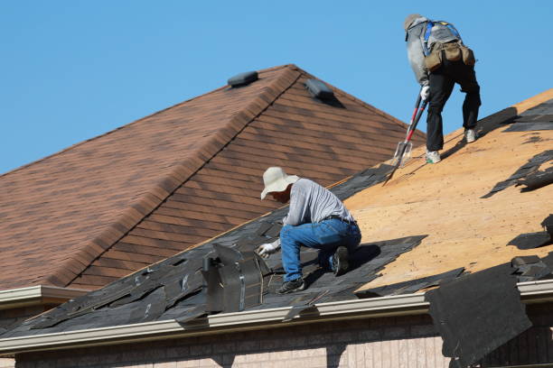 Best Metal Roofing Installation  in Le Claire, IA