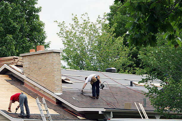 Best Solar Panel Roofing Installation  in Le Claire, IA